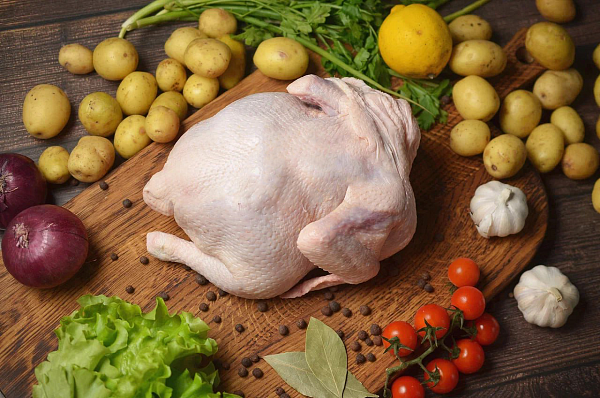 Бройлерный цыплёнок